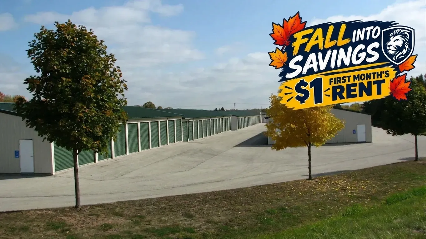 Storage Lion Mayflower Dr Appleton Hero w Promo